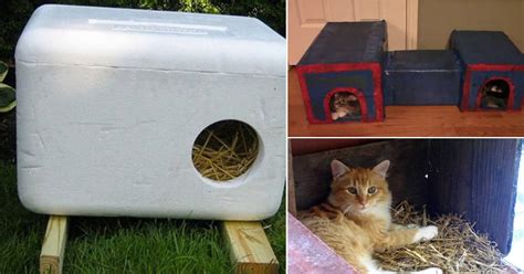 23 DIY Insulated Cat House Ideas For Outdoor Cats ⋆ Bright Stuffs