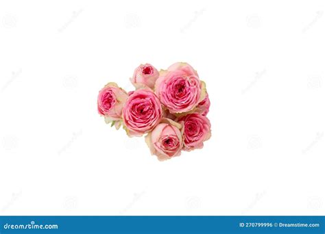 Bouquet of Roses Isolated on a White Background. Stock Photo - Image of ...