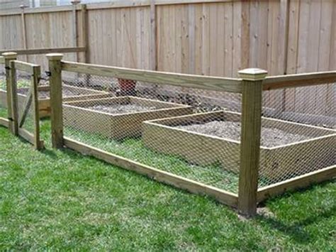 Chicken Wire Mesh Used in Garden as Fence, Raised Bed, Trellis