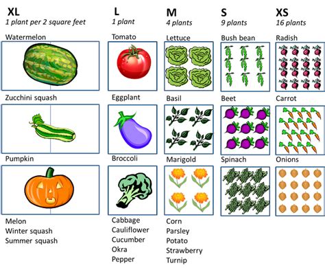 Square Foot Vegetable Garden Planner - Hobby Granding