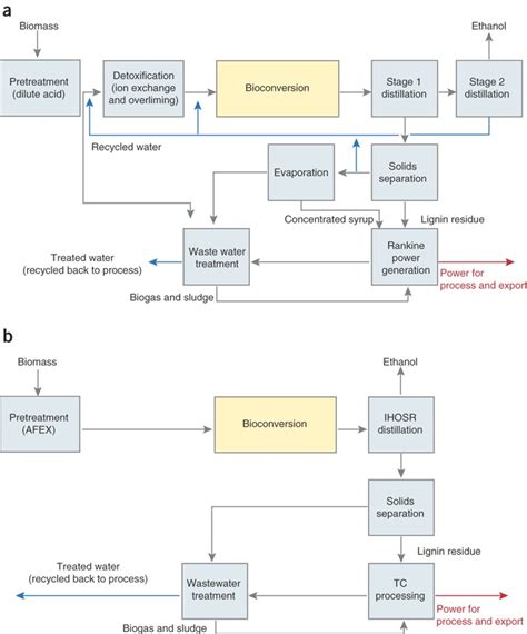 Biofuel production processes.(a) Schematic diagram of scenario 1 ...