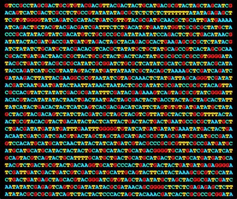 Artwork Of A Nucleotide Sequence Of Dna Photograph by Science Photo ...