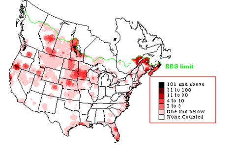 Double-crested Cormorant - Breeding Range Map