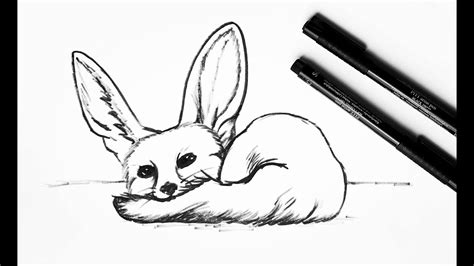 How To Draw A Fennec Fox Easy Drawings Fox Drawing Fennec Fox | Images ...