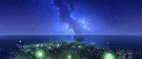 Sea of Stars Wallpapers - Top Free Sea of Stars Backgrounds ...