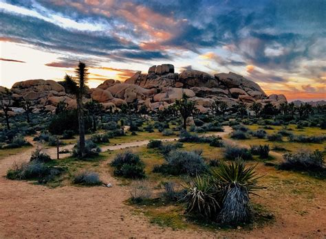 Awesome Things To Do at Joshua Tree National Park - Traveler Dreams