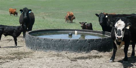 Water Tanks & Waterers | OT Livestock Supply