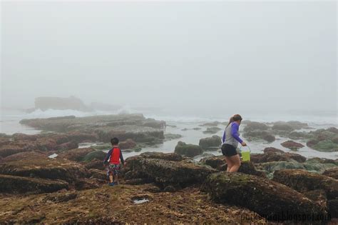 The Parker Project: Tidepooling at Shell Beach La Jolla