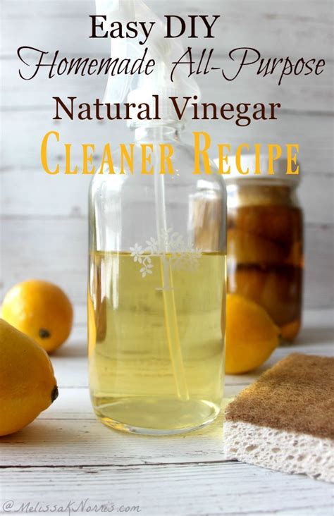 Natural Vinegar Cleaner Recipe DIY and Homemade