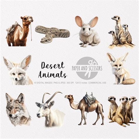 Desert Animals Clipart Desert Animals PNG Desert - Etsy