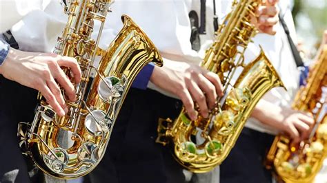 14 Different Types of Saxophones (w/ Pictures) – DifferentTypes.net