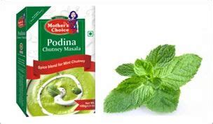 Podina Chutney Masala at best price in Baddi by Shriram Group Of ...