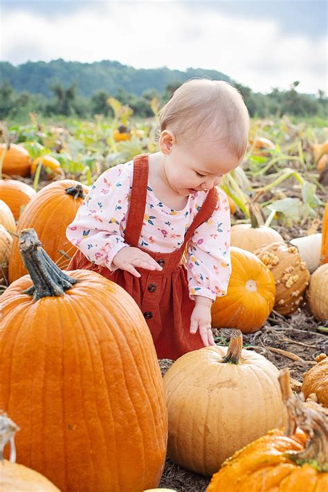 Washington County, MD Announces 2023 Great Pumpkin Challenge ...