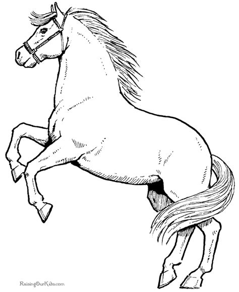 Drawings Horse (Animals) – Printable coloring pages