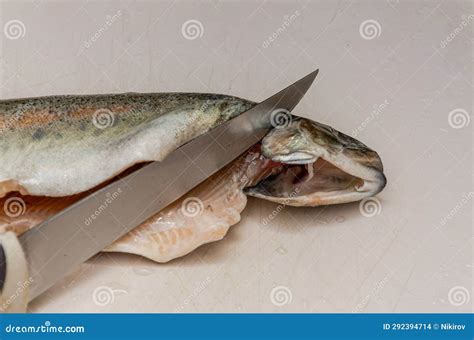 Cook Cuts Trout Fish on a Cutting Board Stock Photo - Image of sliced ...