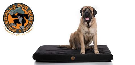 Durable, Chew-Proof Dog Beds | Chew-Proof Beds for Dogs