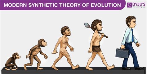 Modern Synthetic theory of Evolution - An Overview