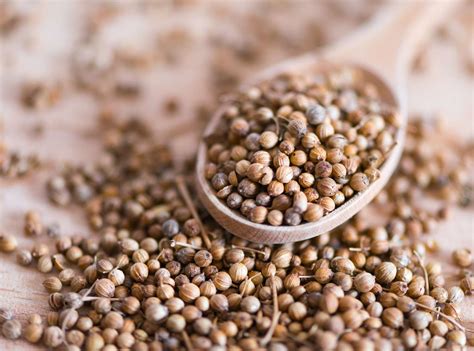 What Is Coriander?