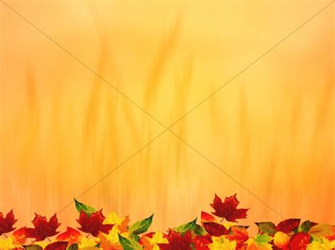 Harvest Leaves Thanksgiving Background | Clover Media