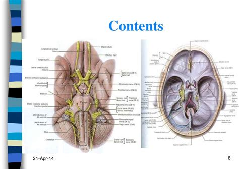 Anaesthesia Management of Posterior cranial fossa surgeries