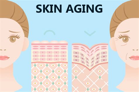 Signs of Skin Aging and How to Fix Them - eMediHealth