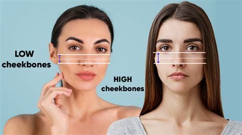 High Vs Low Cheekbones Men | Hot Sex Picture