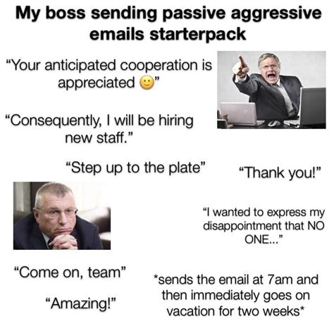 Passive Aggressive Meme Email