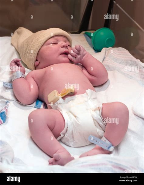 Newborn baby boy resting in hospital post delivery room Stock Photo - Alamy