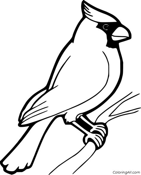 Cardinal Coloring Pages (29 Free Printables) - ColoringAll