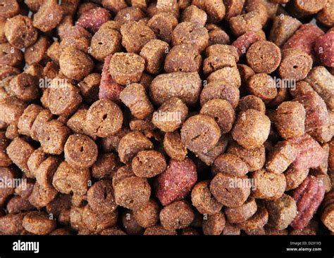 dry dog food Stock Photo - Alamy