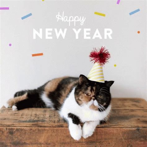 Happy New Year Cats GIF - HappyNewYear Cats FunnyAnimals - Discover ...