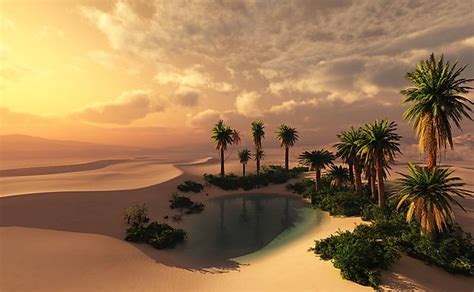 Sahara Desert Oasis Facts