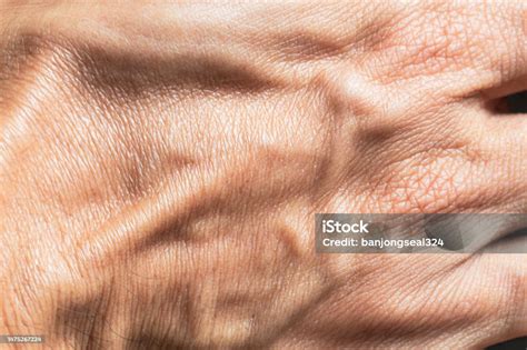 Macro Human Hand Skin Macro Human Hand Texture The Texture Of The Skin ...