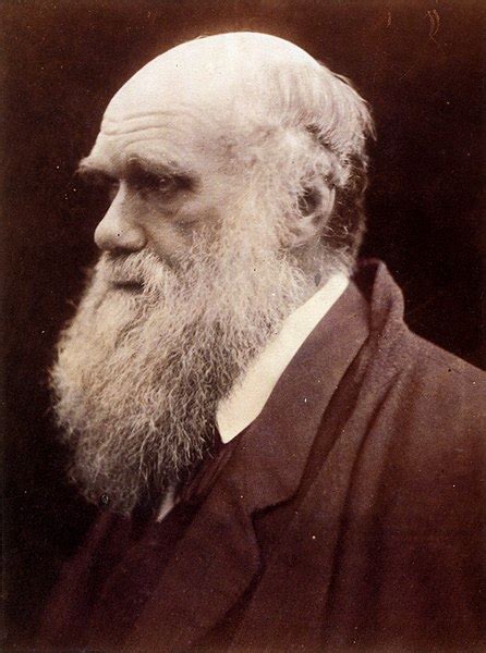 Darwin, Charles | Internet Encyclopedia of Philosophy