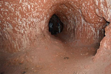 These Incredible Tunnels Were Dug by Giant Ground Sloths 10,000 Years ...