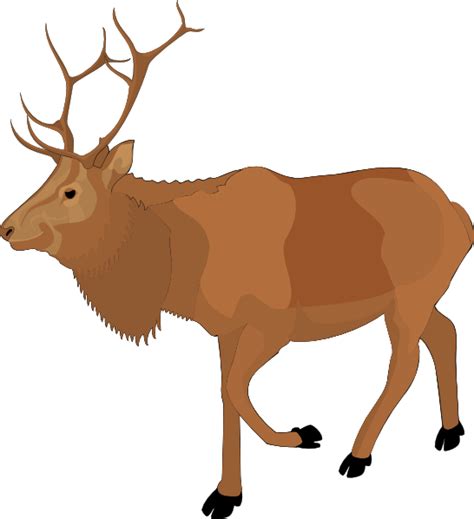 Free Elk Clipart Images | Download Elk Illustrations