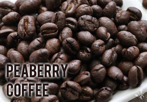 Peaberry Coffee Bean Buying Guide & Reviews | KitchenSanity