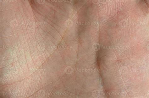 Close up of human hand skin with visible skin texture and lines ...