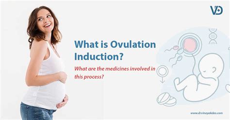 Specialists For Fetal Medicine | What is Ovulation Induction