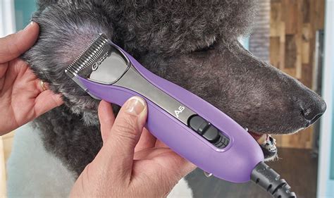 Dog Grooming Clippers | Best Dog Clippers for a Home Haircut