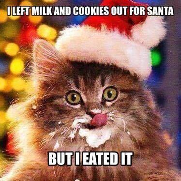 Funny Cat Christmas Quotes - ShortQuotes.cc