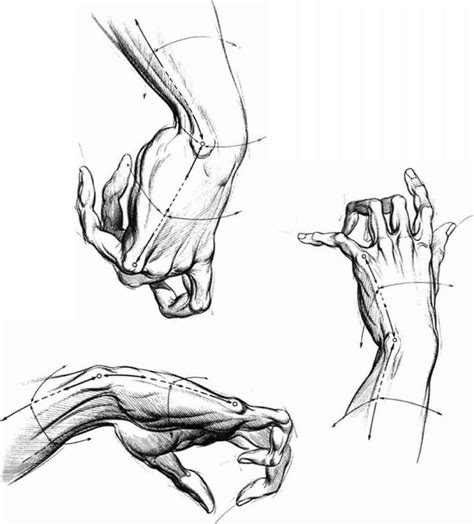 Hand From The Side Drawing - Draw-leg