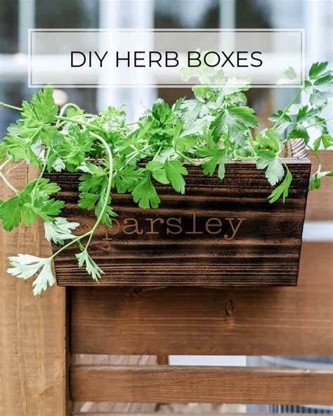 DIY Herb Planter Box - Pine and Poplar