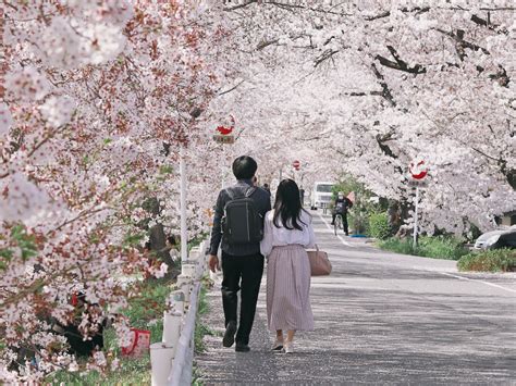 Hanami: Japanese Flower Viewing – Shotengai