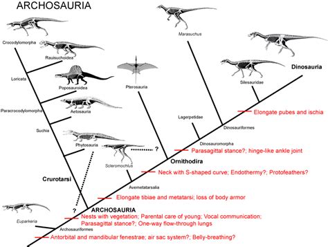 Opiniones de Archosauria