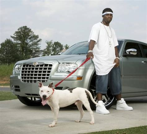 Should Mike Vick Be Allowed To Own Another Dog One Day? - Straight From ...