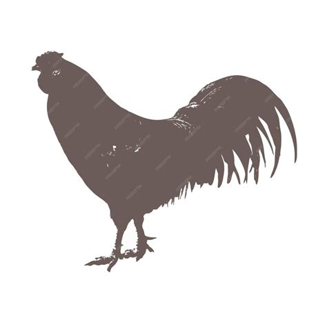 Premium Vector | Chicken vector