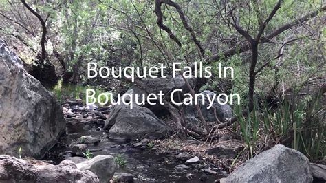 Bouquet Canyon Neighborhoods in Saugus of Santa Clarita