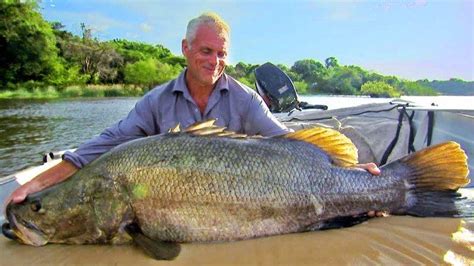 Nile Perch Invasive Species