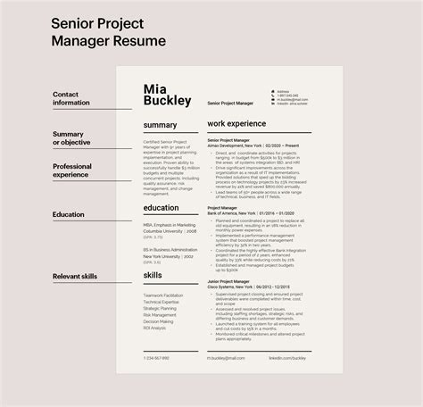 Senior Project Manager Resume Template 150010 MS Word